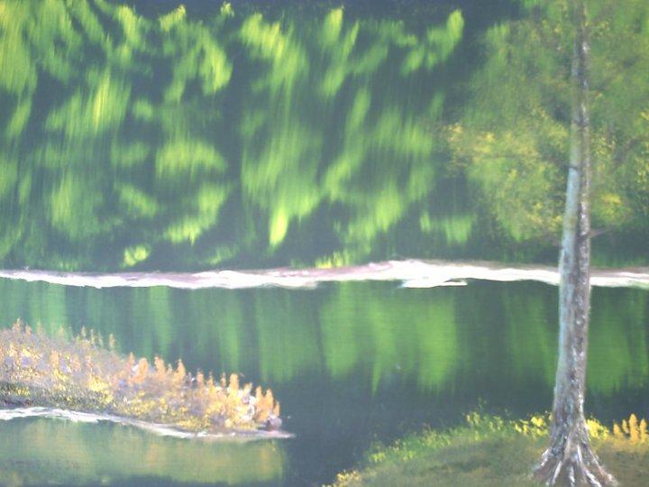 Forest lake with reflected trees